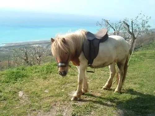 La Palombara