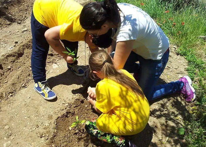 カントリーハウス La Palombara パオラ