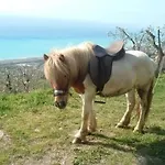 Agriturismo La Palombara