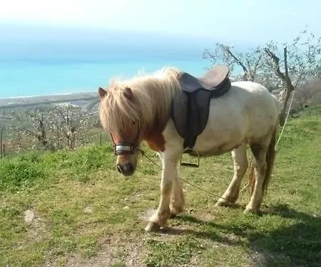 La Palombara